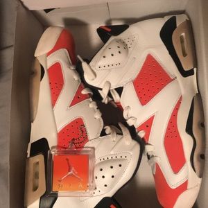 Air Jordan Gatorade 6’s